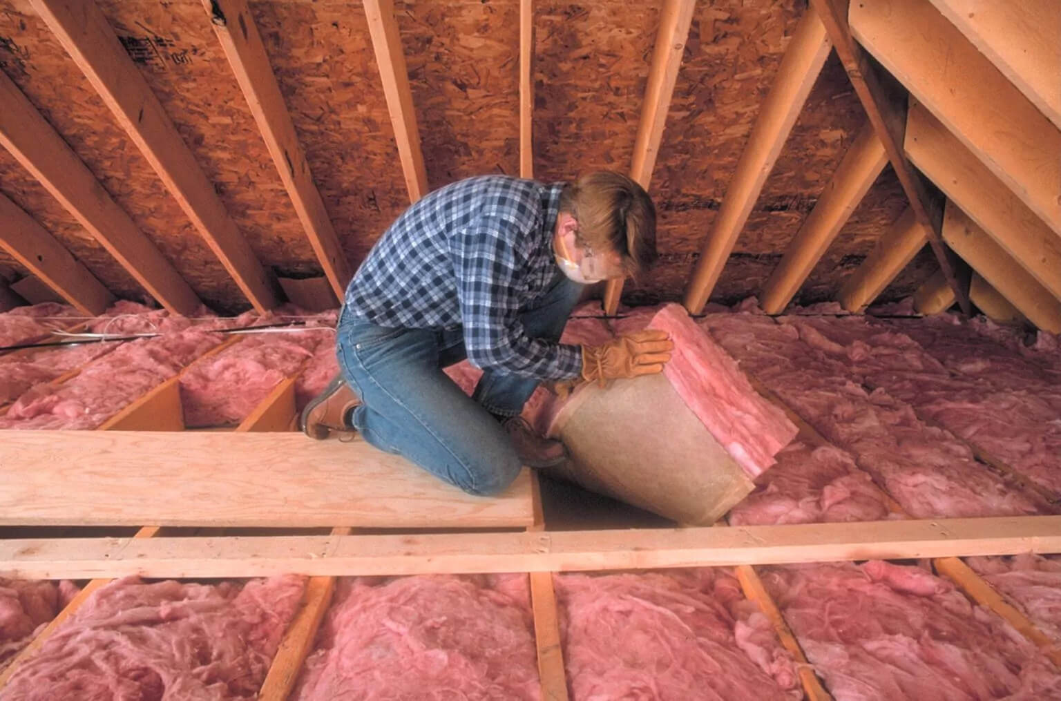 Ceiling Insulation