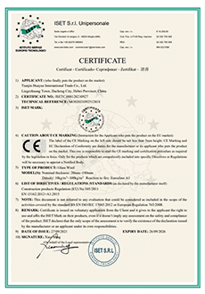 CE certificate preview